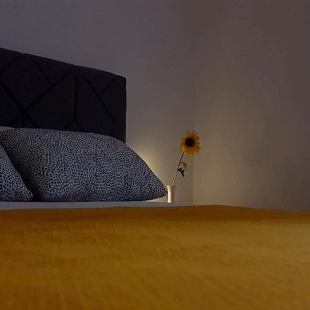 Casa Bella - Vracar Apartment Belgrade Luaran gambar