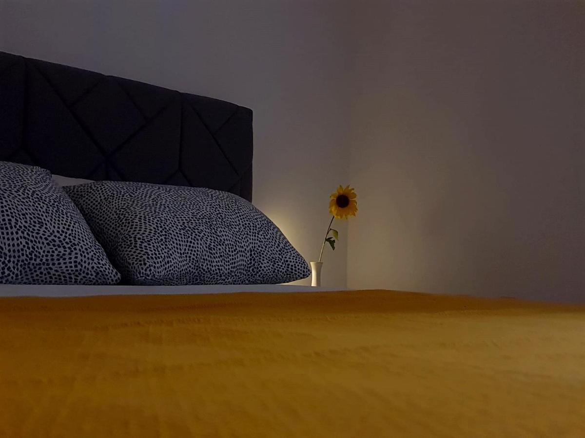 Casa Bella - Vracar Apartment Belgrade Luaran gambar